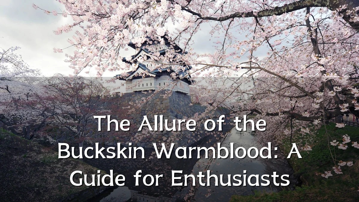 The Allure of the Buckskin Warmblood: A Guide for Enthusiasts