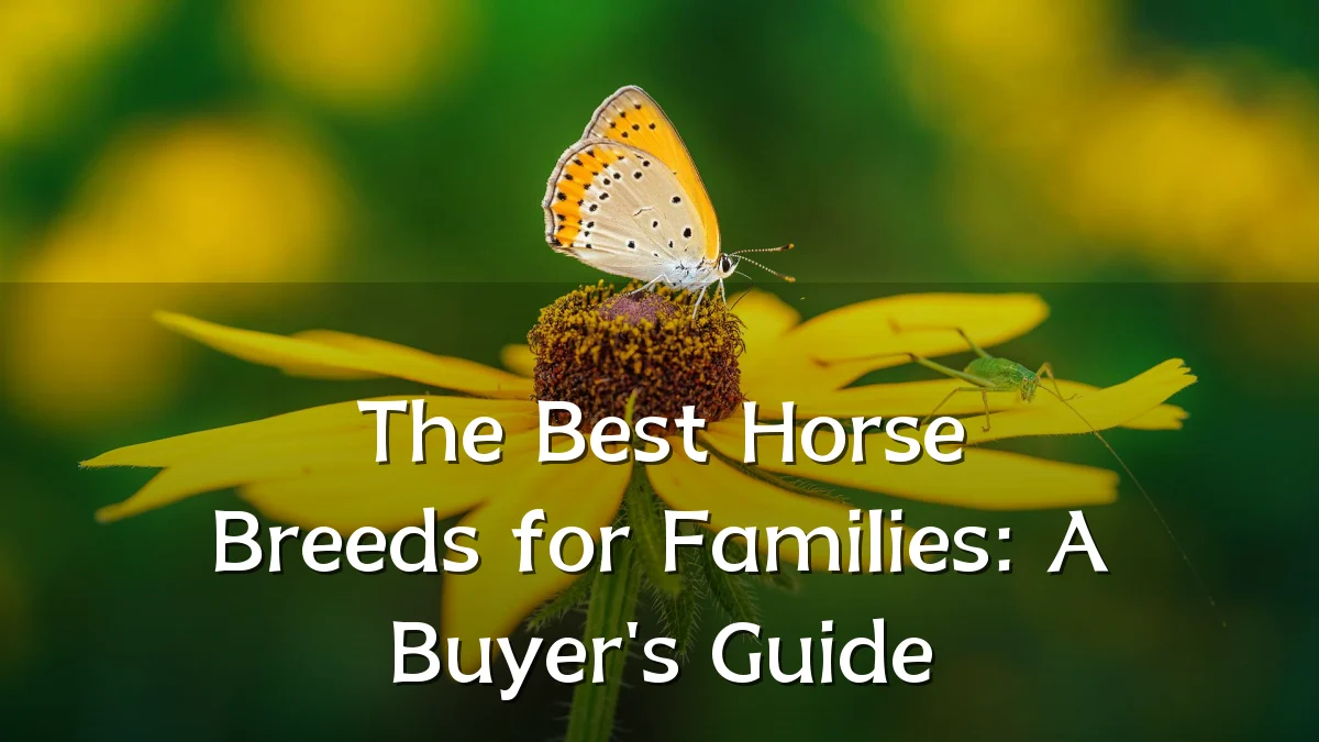 The Best Horse Breeds for Families: A Buyer's Guide
