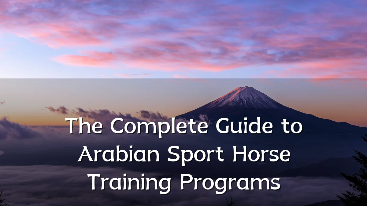The Complete Guide to Arabian Sport Horse Training Programs