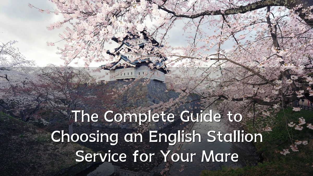 The Complete Guide to Choosing an English Stallion Service for Your Mare