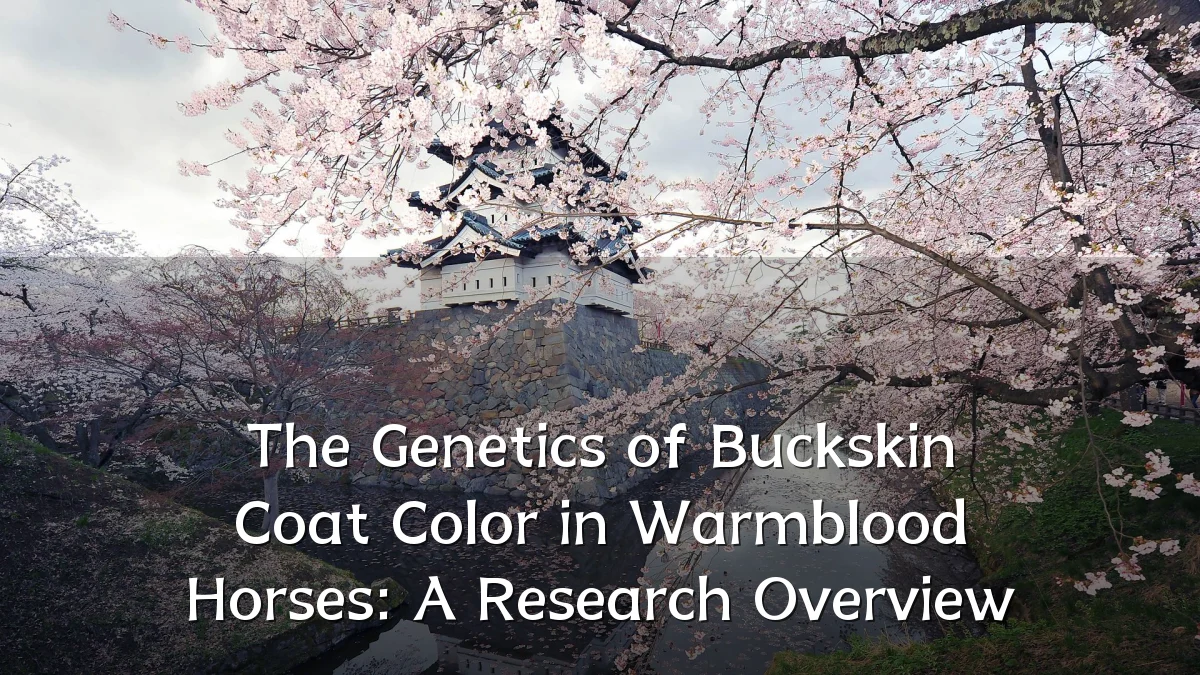 The Genetics of Buckskin Coat Color in Warmblood Horses: A Research Overview