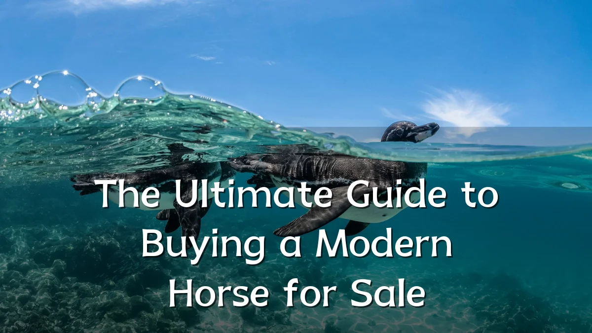 The Ultimate Guide to Buying a Modern Horse for Sale