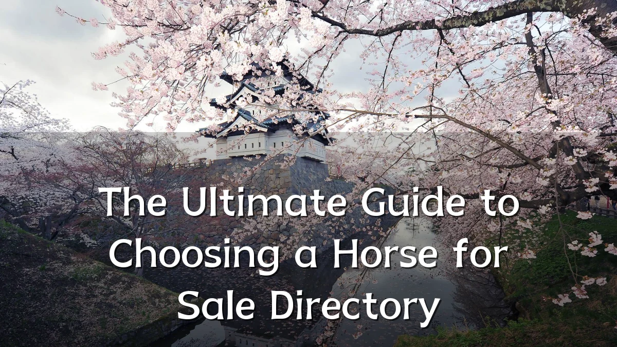 The Ultimate Guide to Choosing a Horse for Sale Directory