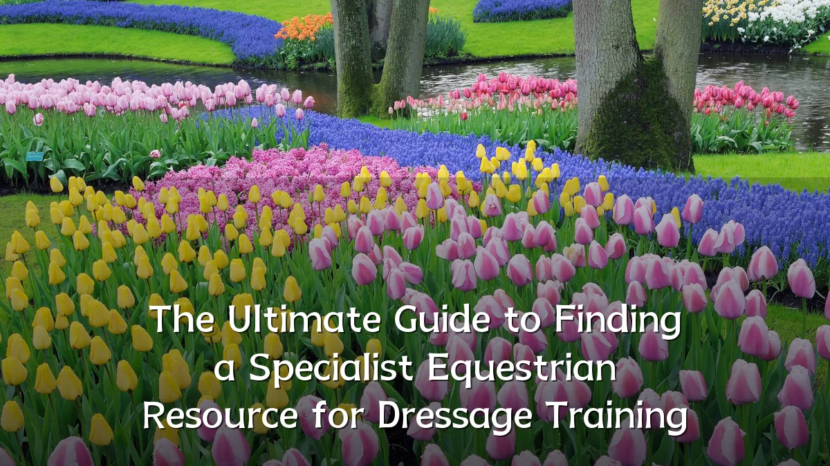 The Ultimate Guide to Finding a Specialist Equestrian Resource for Dressage Training