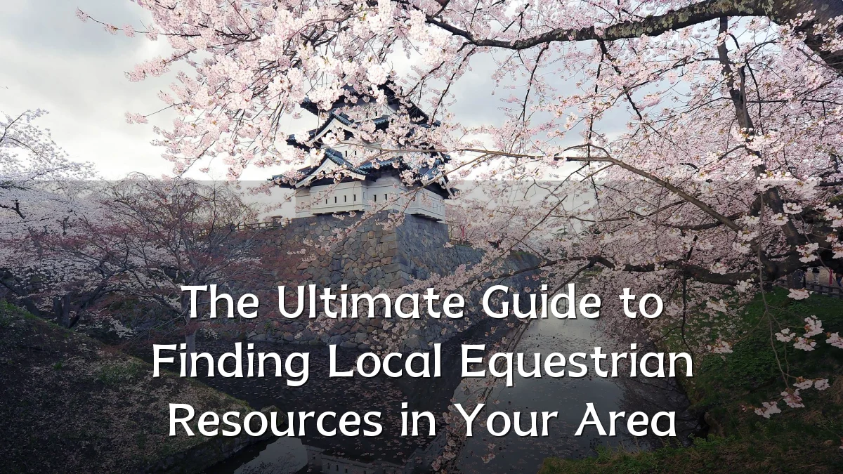 The Ultimate Guide to Finding Local Equestrian Resources in Your Area