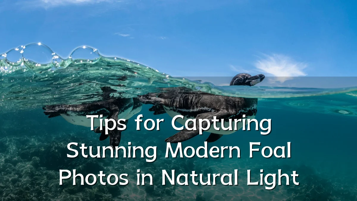Tips for Capturing Stunning Modern Foal Photos in Natural Light