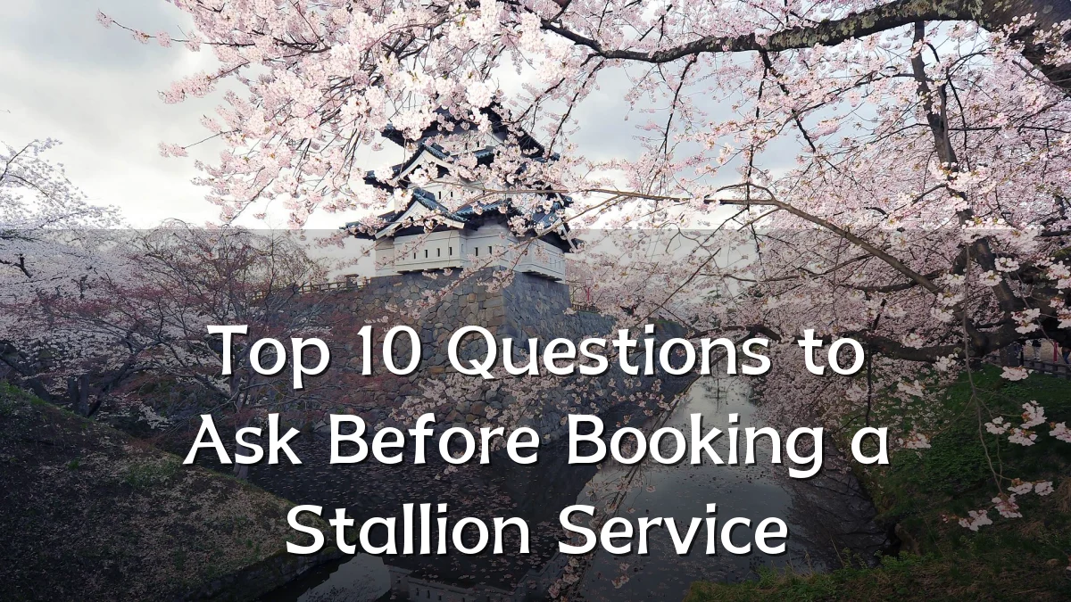 Top 10 Questions to Ask Before Booking a Stallion Service