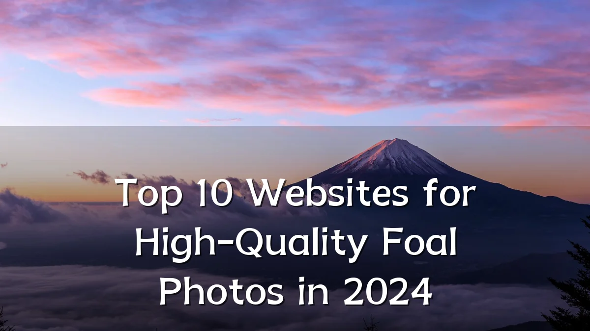Top 10 Websites for High-Quality Foal Photos in 2024