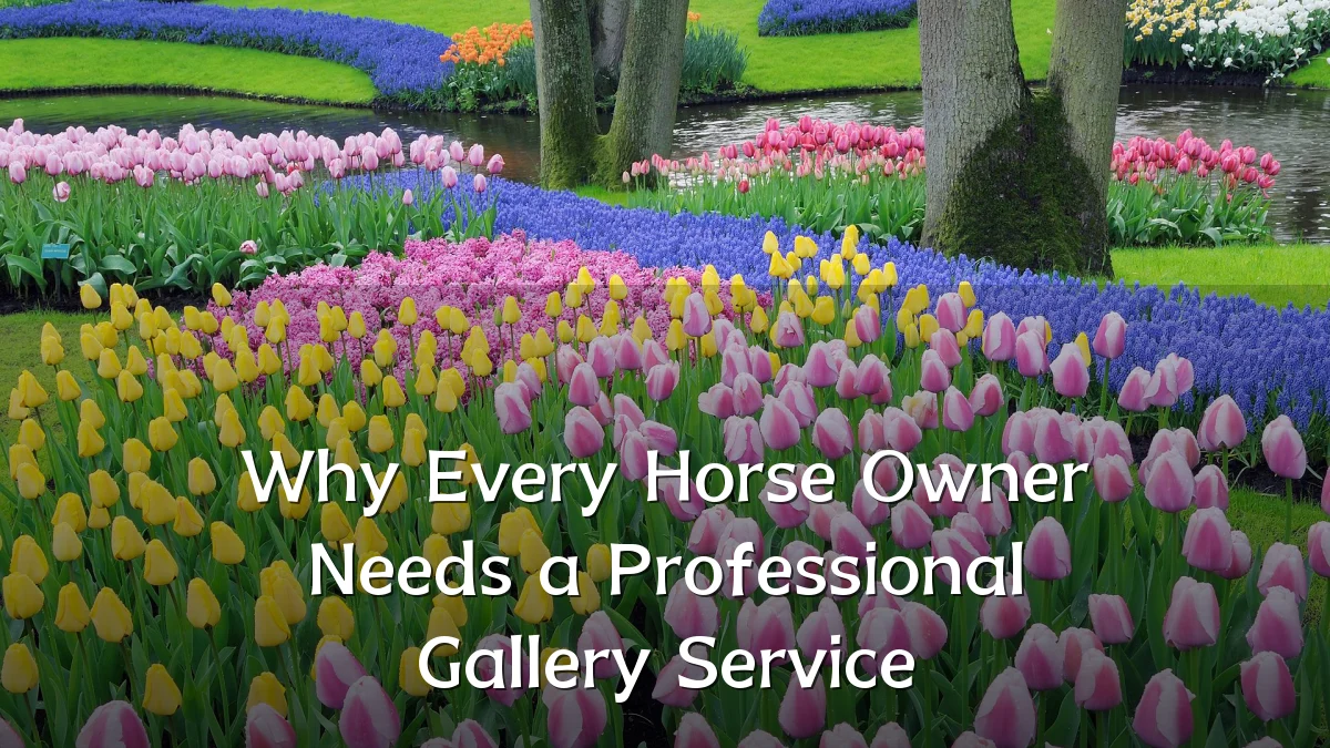 Why Every Horse Owner Needs a Professional Gallery Service