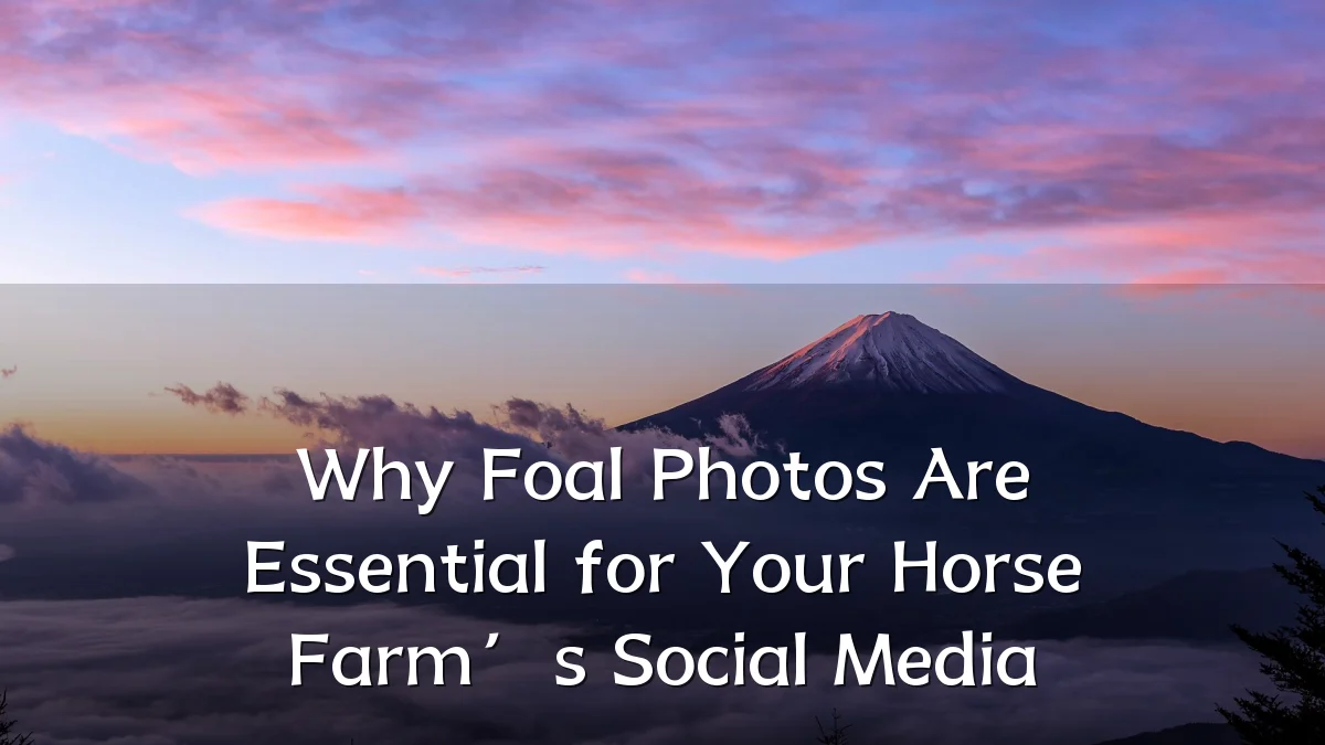Why Foal Photos Are Essential for Your Horse Farm’s Social Media