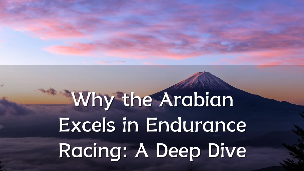 Why the Arabian Excels in Endurance Racing: A Deep Dive
